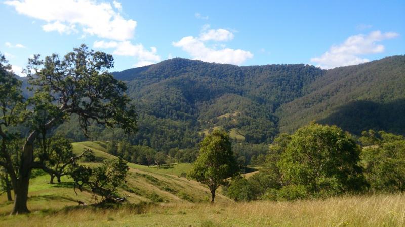 , YARROWITCH NSW 2354