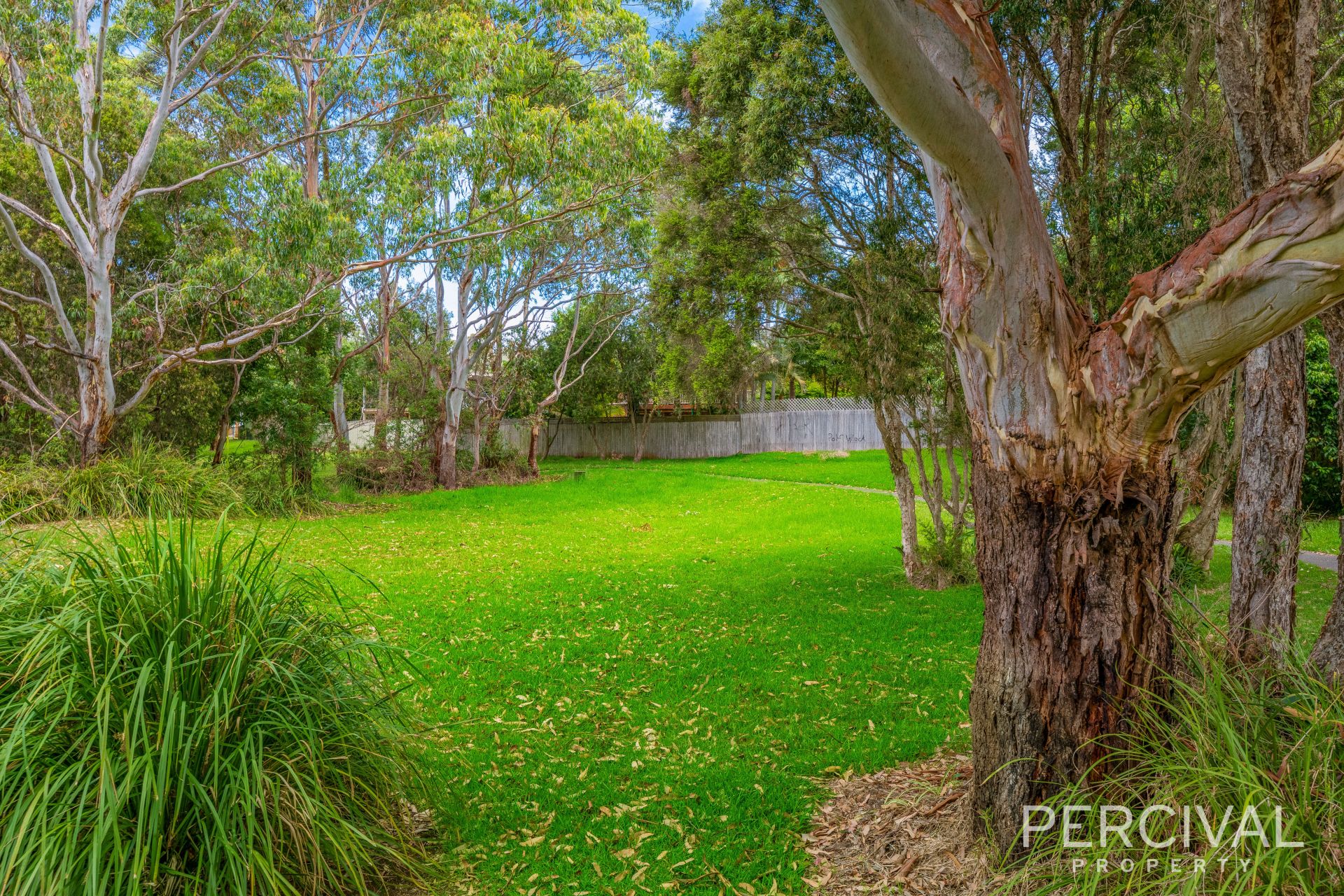 6 Elsie Court Port Macquarie NSW, Port Macquarie - Thumbnail 3