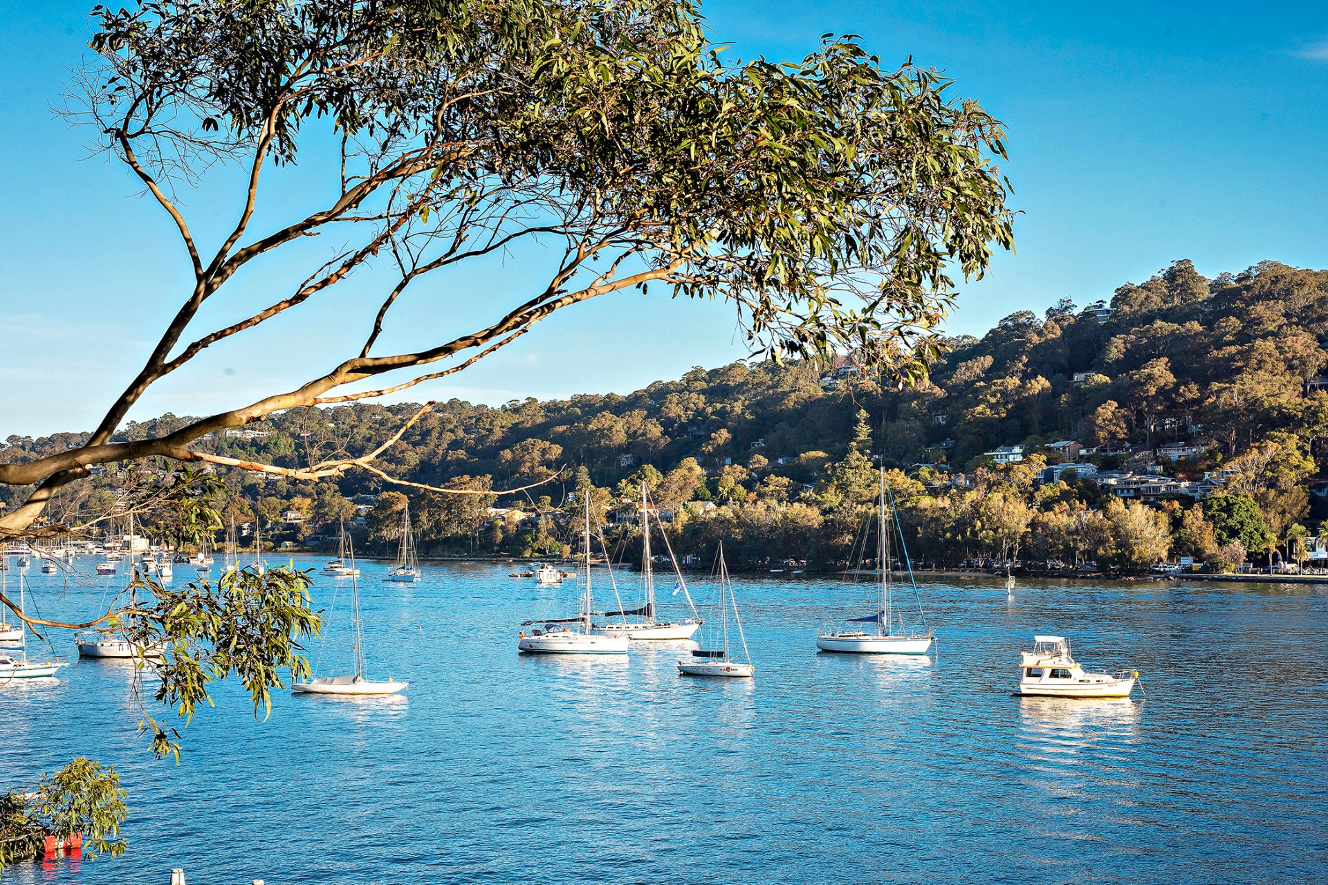 Real Estate For Sale 91 Richard Road Scotland Island , NSW