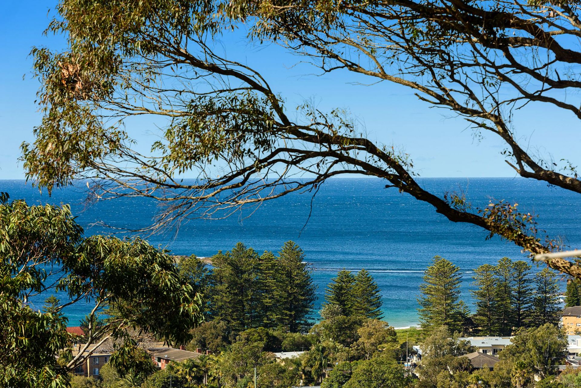 15 Sybil Street Newport NSW 2106, Newport - Thumbnail 5