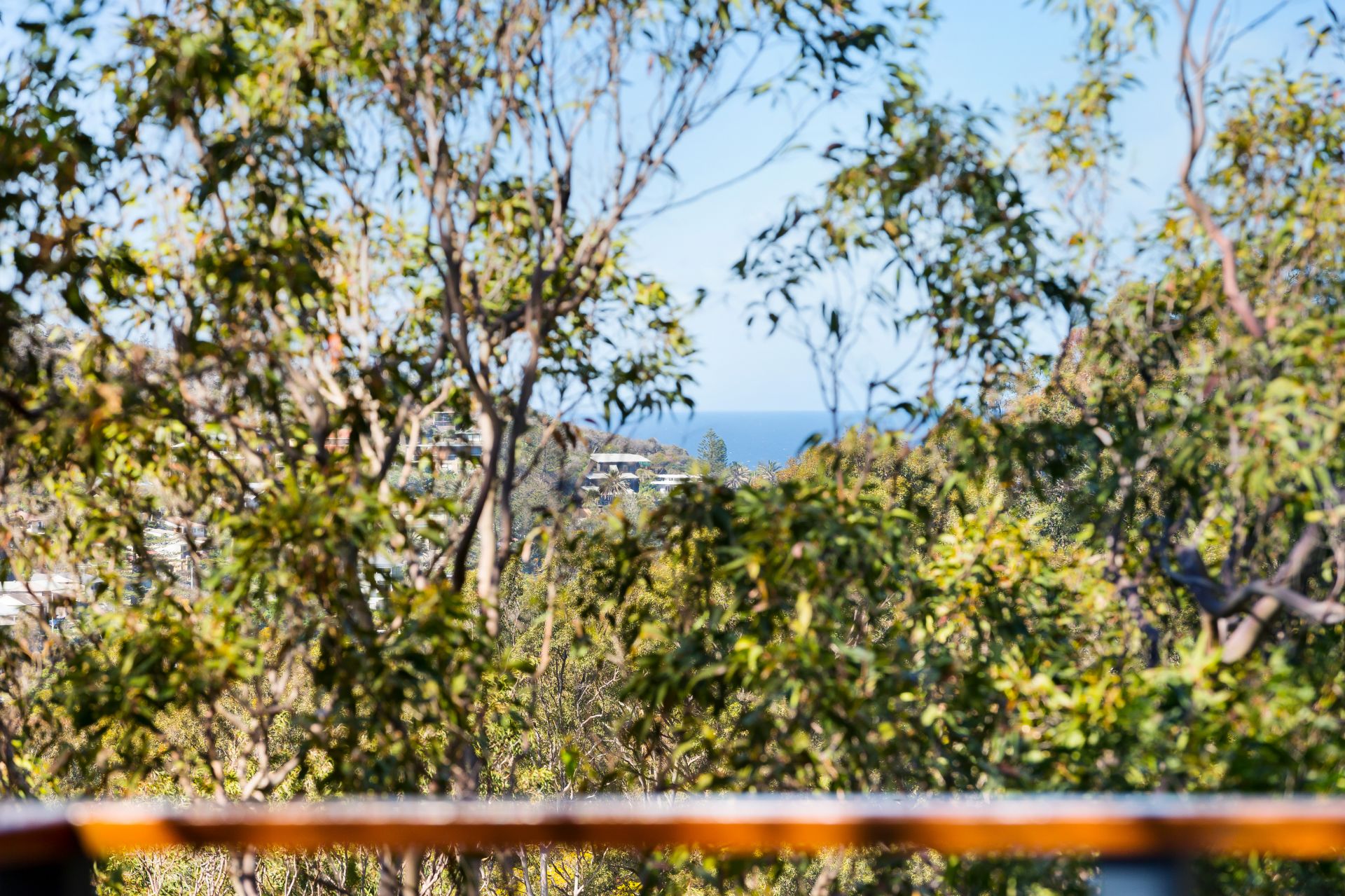34 Cannes Drive Avalon Beach NSW, Avalon Beach - Thumbnail 7