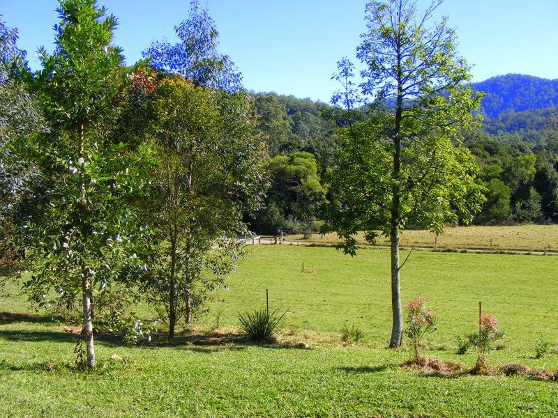 Real Estate For Sale 1537 Kalang Road Kalang Bellingen , NSW