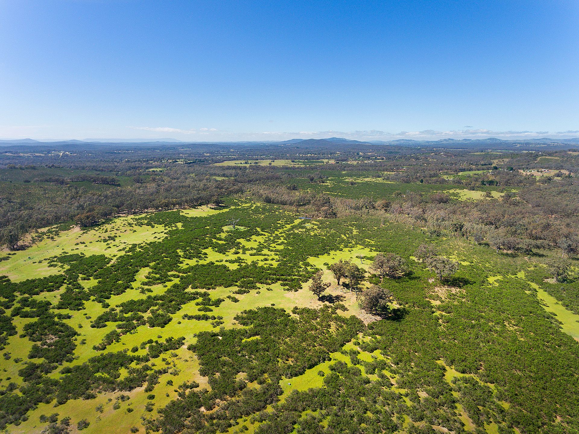 Real Estate For Sale Lot 2H/ Hylands Lane Heathcote , VIC
