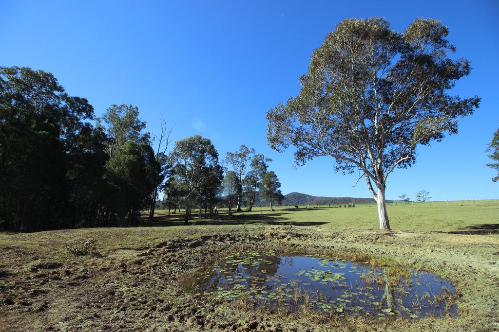 438 Upper Rollands Plains Rd, ROLLANDS PLAINS NSW 2441