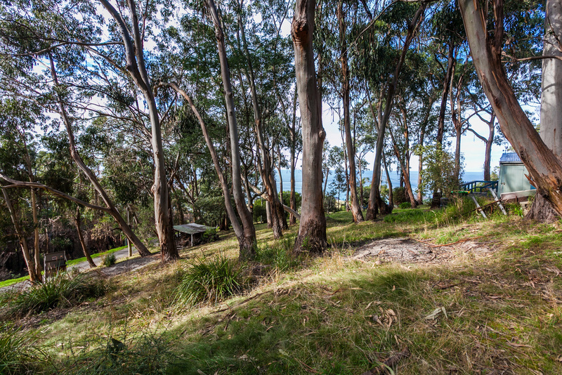 10 Cassidy Drive, Kennett River, VIC, Kennett River - Thumbnail 2