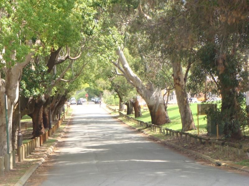 205/124 Subiaco Road SUBIACO WA, Subiaco - Thumbnail 2