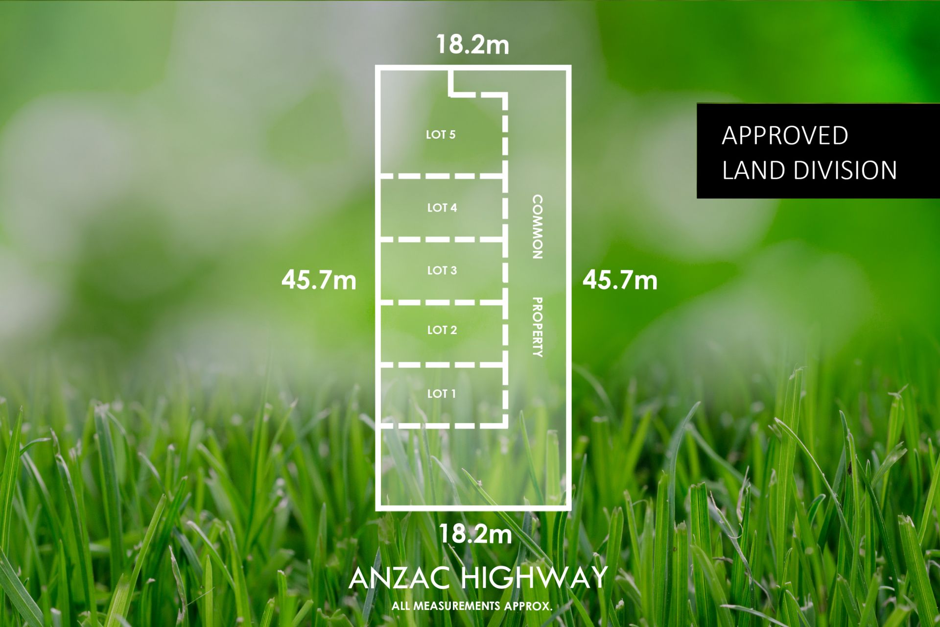 66 Anzac Highway, Everard Park - Thumbnail 3