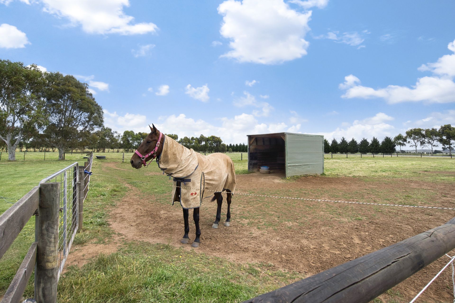 300 Gillies Road, Mount Rowan, Mount Rowan, Mount Rowan - Thumbnail 2