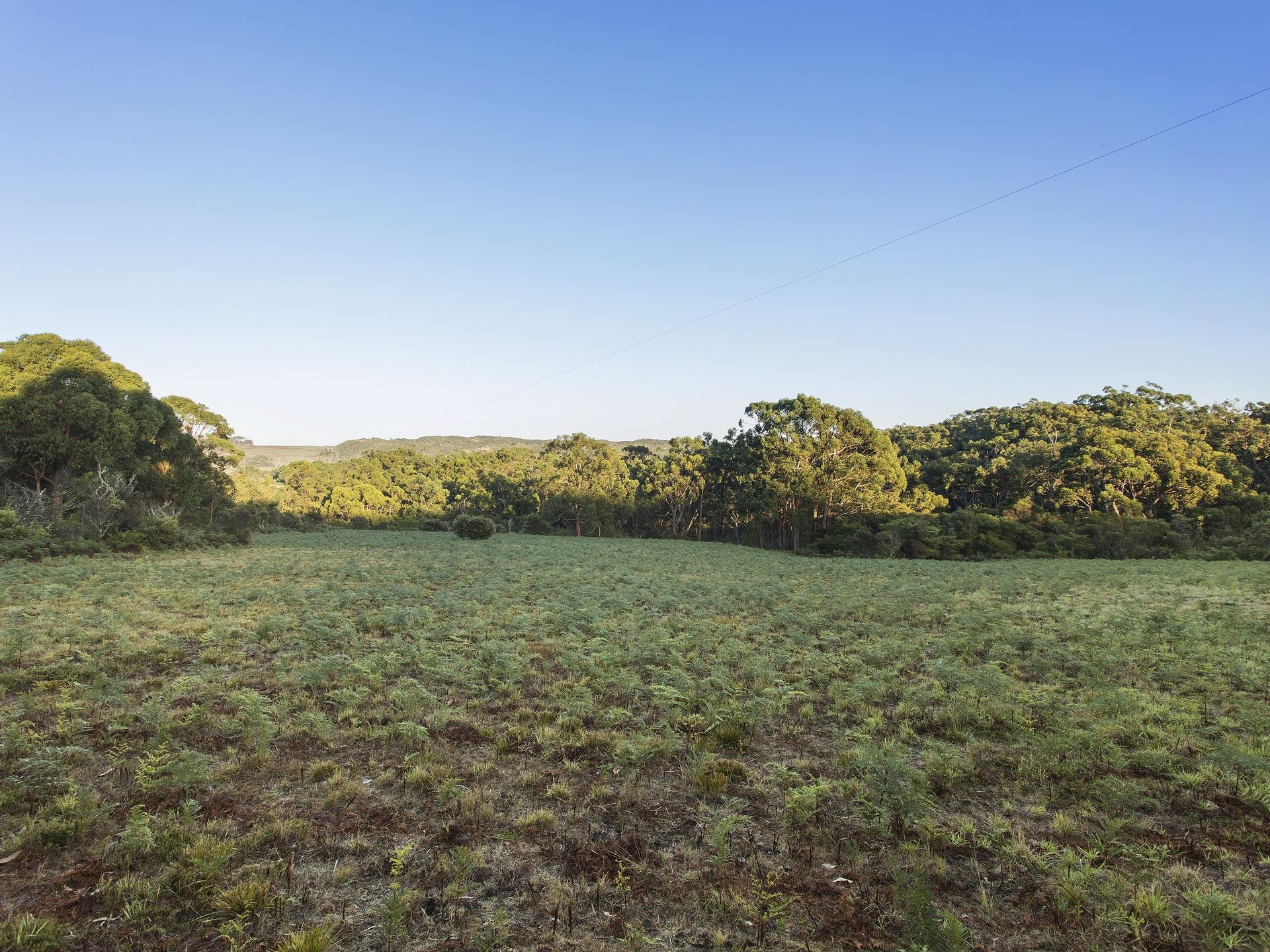 6/615 Hordern Vale Road, Hordern Vale - Thumbnail 4