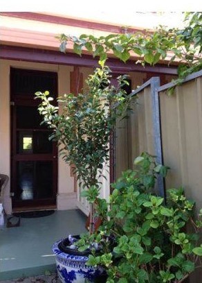2/146 Coglin Street Brompton 5007