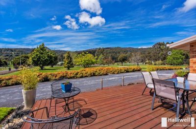 20 Lawrence Avenue, Acacia Hills, Acacia Hills - Thumbnail 2