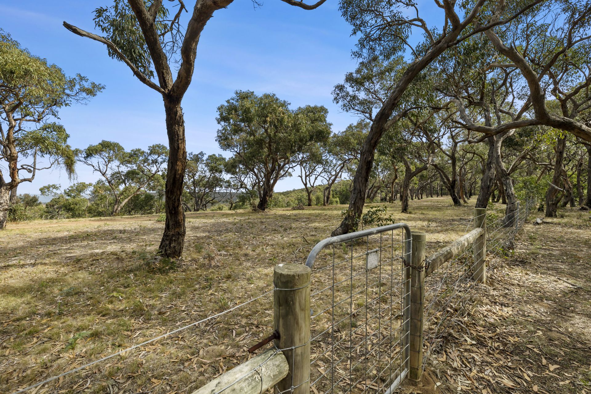120 Jarosite Road, Bells Beach - Thumbnail 6