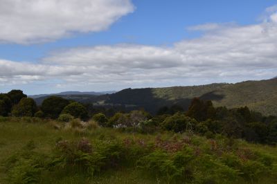 9 Smiths Plains Road, South Nietta, South Nietta - Thumbnail 3