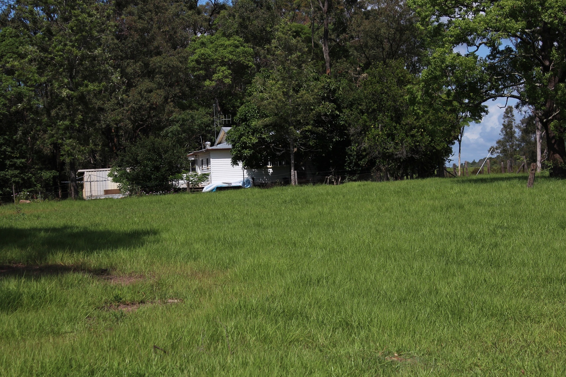 181 Willetts Road, BAUPLE, QLD, 4650 Rural buyMyplace