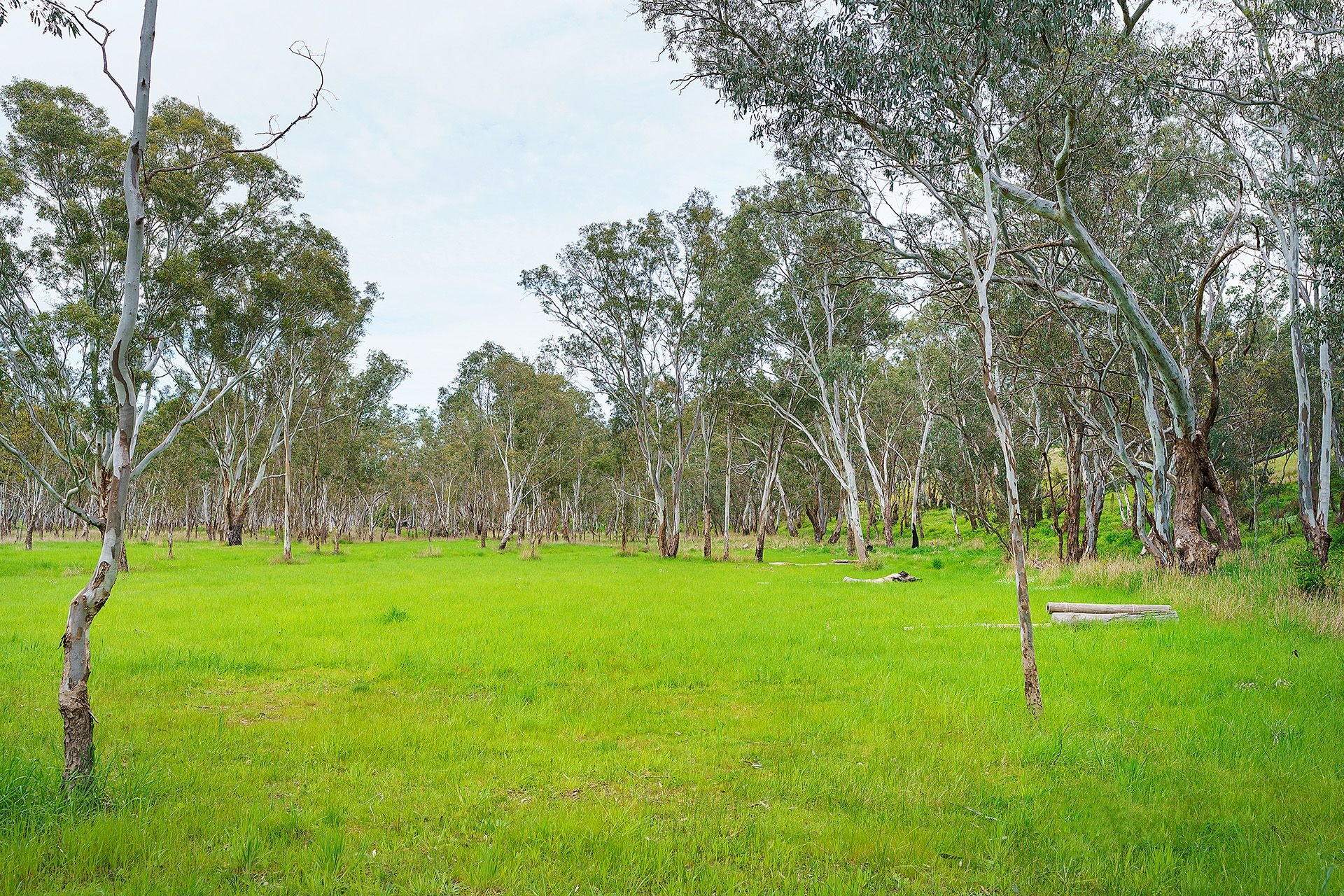Real Estate For Sale Lot 20/ HarrowCasterton Road Harrow , VIC
