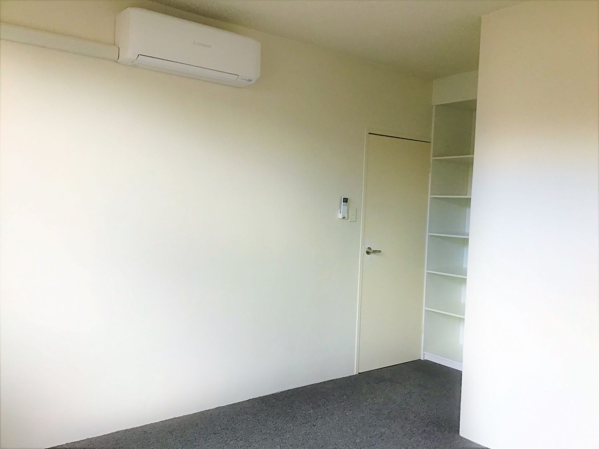 Oversized Renovated Apartment