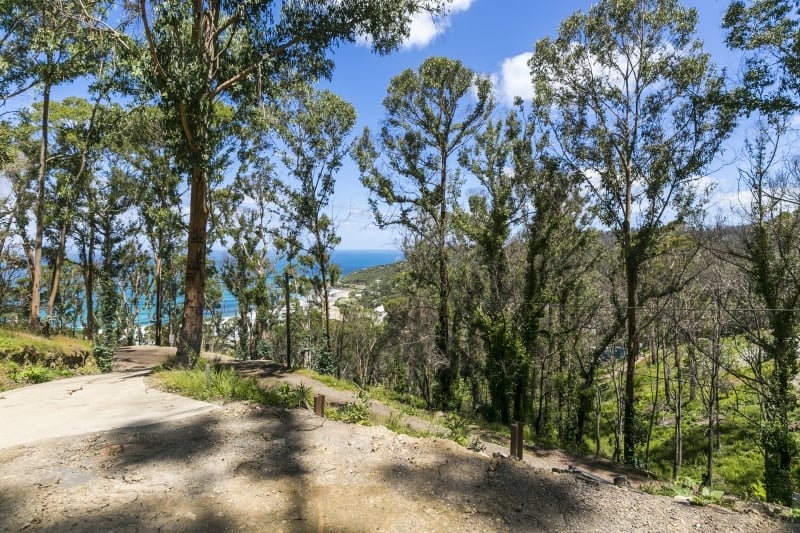 43 Karingal Drive, Wye River, VIC, Wye River - Thumbnail 2