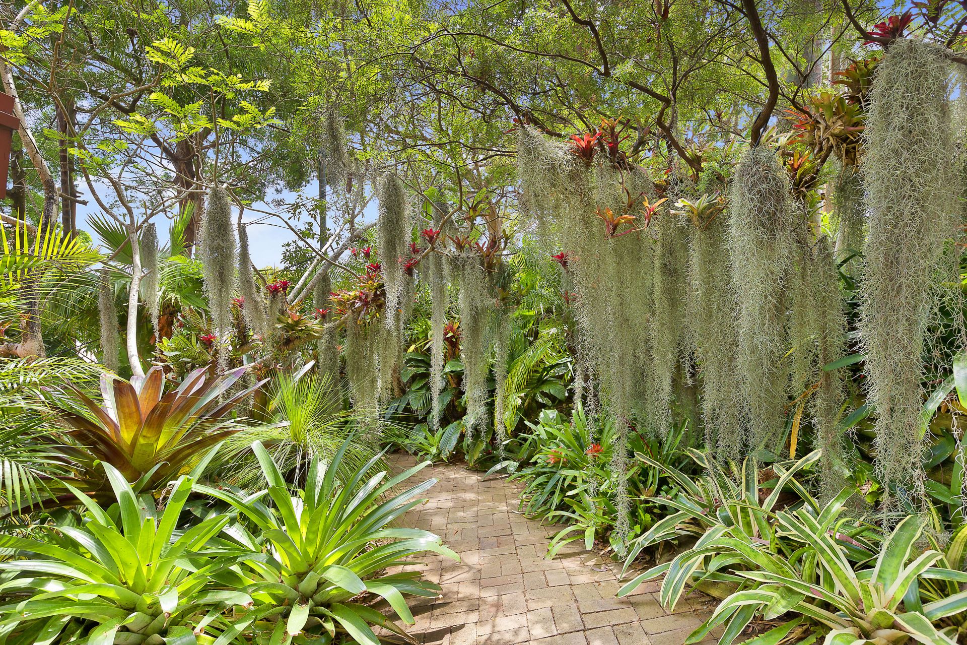 59 Loombah Street Bilgola NSW 2107, Bilgola - Thumbnail 3