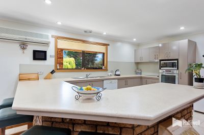 4
 
 
 
  
 
 
 3
 
 
 
  
 
 
 5
 
 
 
 
 
 
 
 143 Kays Road, Sassafras TAS 7307, Sassafras - Thumbnail 5
