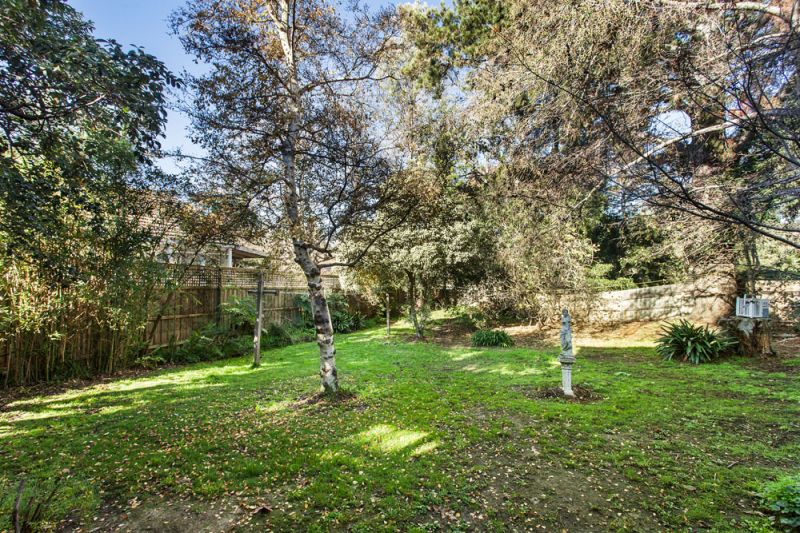 82 Broughton Road, Surrey Hills - Thumbnail 5