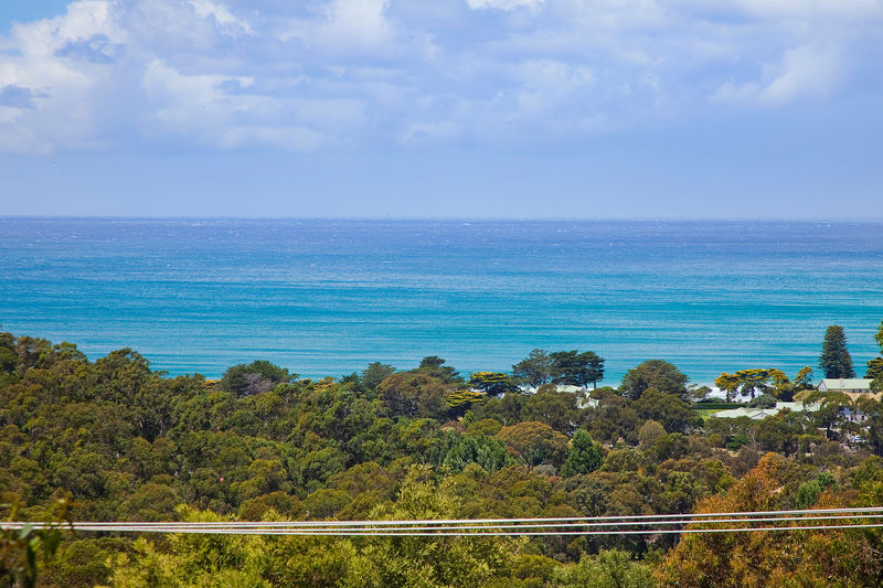 7 Gardiner Avenue, Lorne, VIC, Lorne - Thumbnail 2