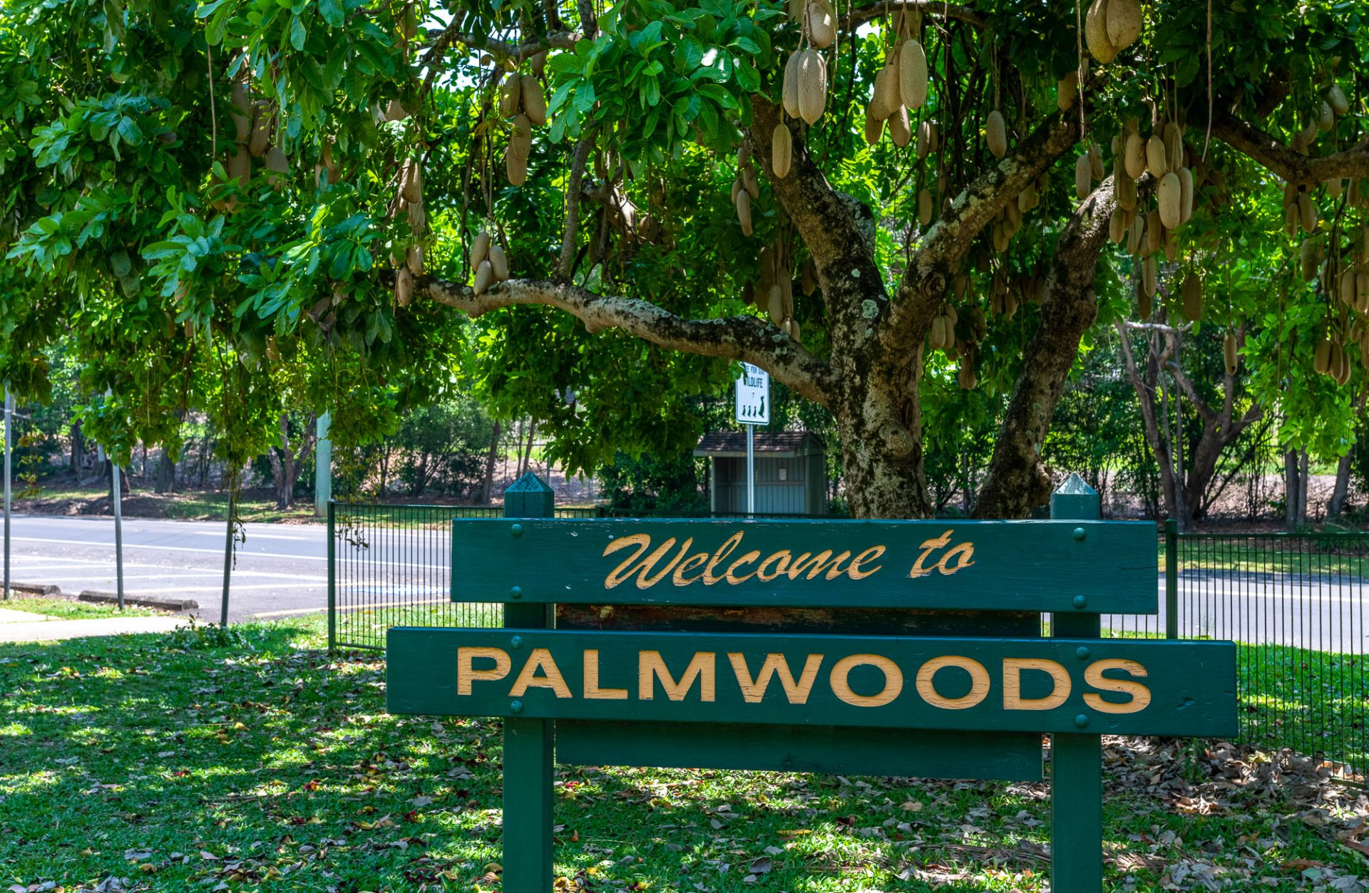13/31 Abbotts Road Palmwoods QLD, Palmwoods - Thumbnail 4