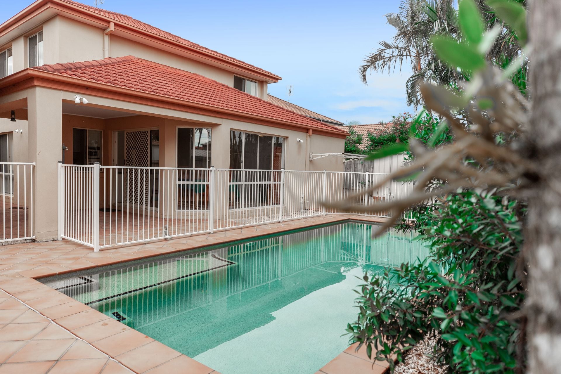 8 Coney Court Mountain Creek QLD, Mountain Creek - Thumbnail 4
