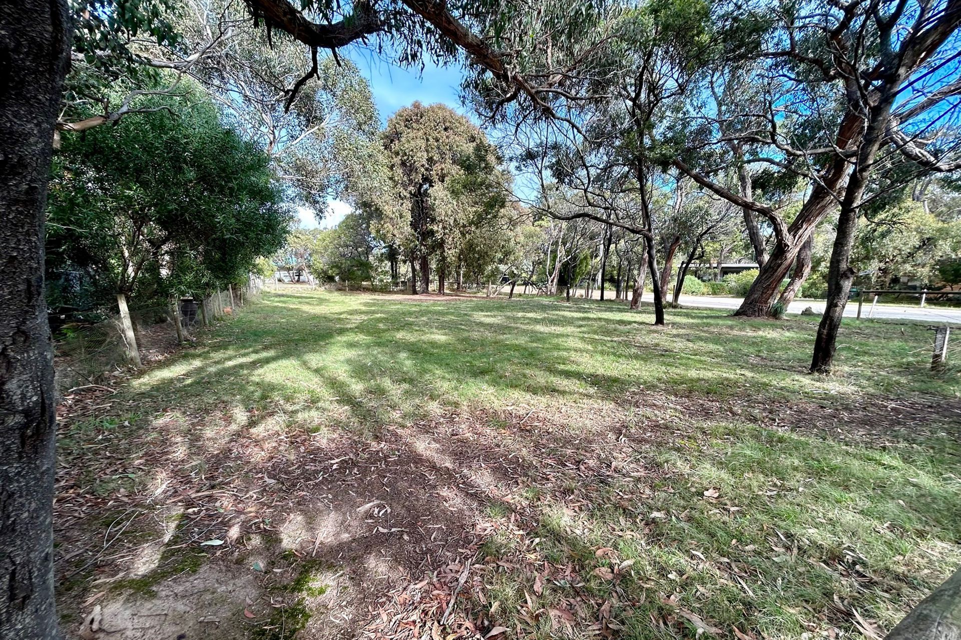 15 Hopkins Street, Aireys Inlet - Thumbnail 6