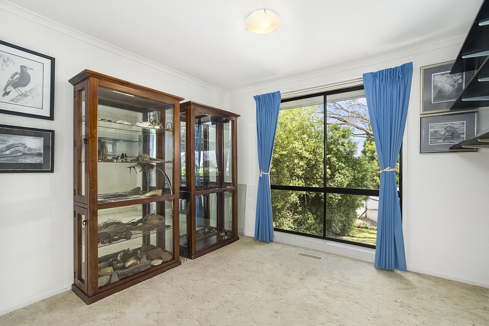 6 Watson Drive, Mount Pleasant, Mount Pleasant, Mount Pleasant - Thumbnail 5