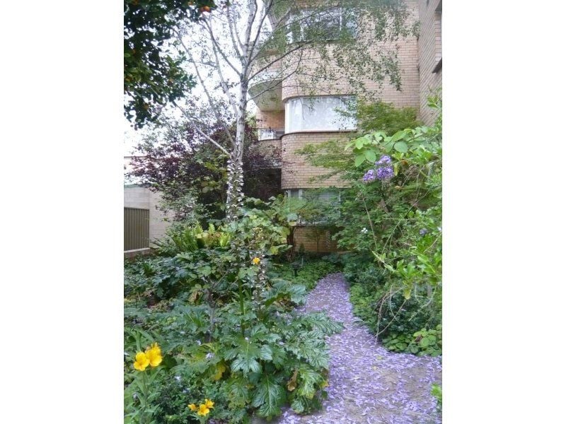 8/75 Wellington Square North Adelaide 5006