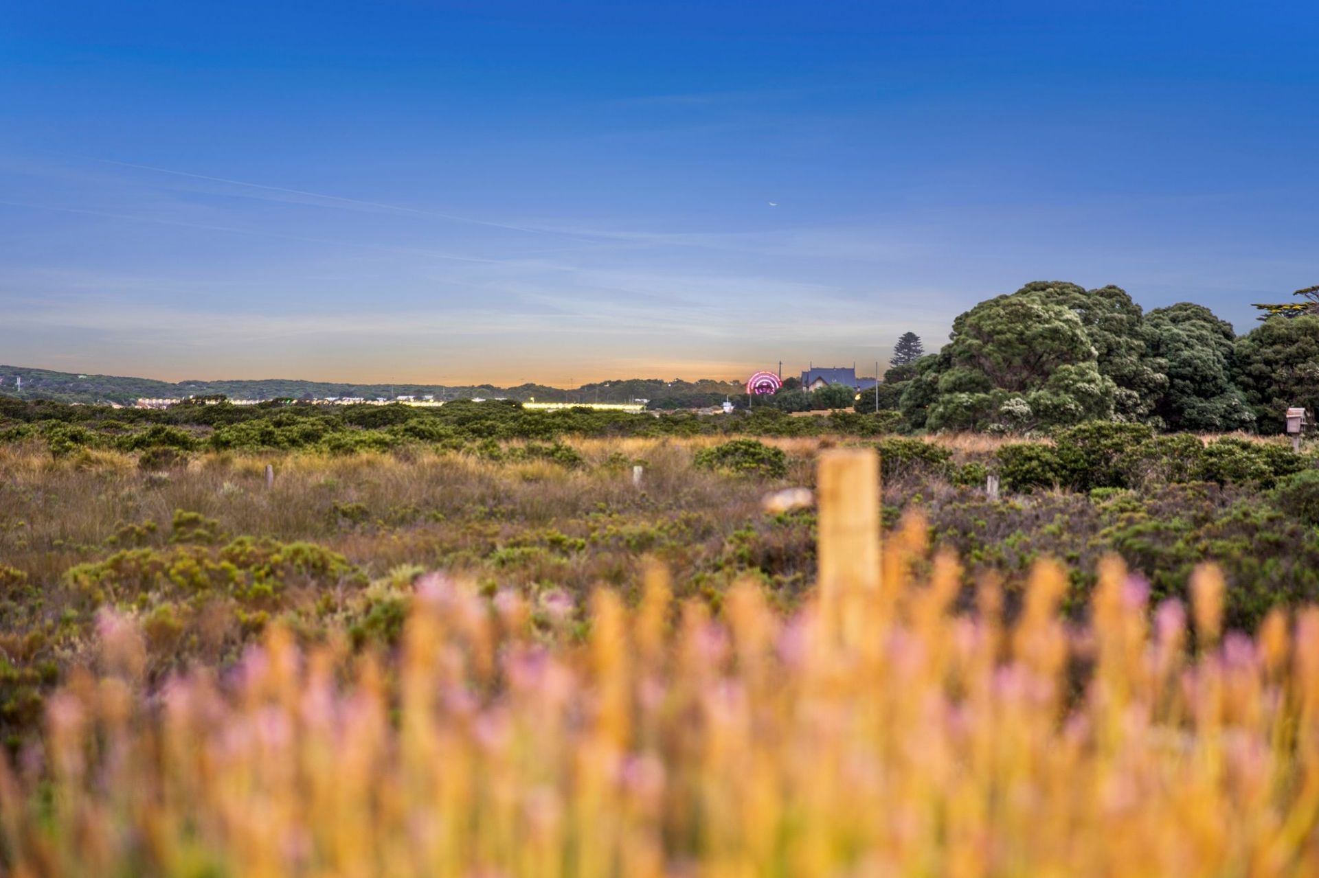 3/78 Carr Street Barwon Heads VIC, Barwon Heads - Thumbnail 6