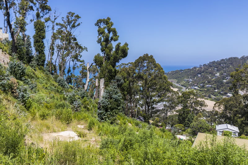 20 Dunoon Road, Wye River, VIC, Wye River - Thumbnail 3