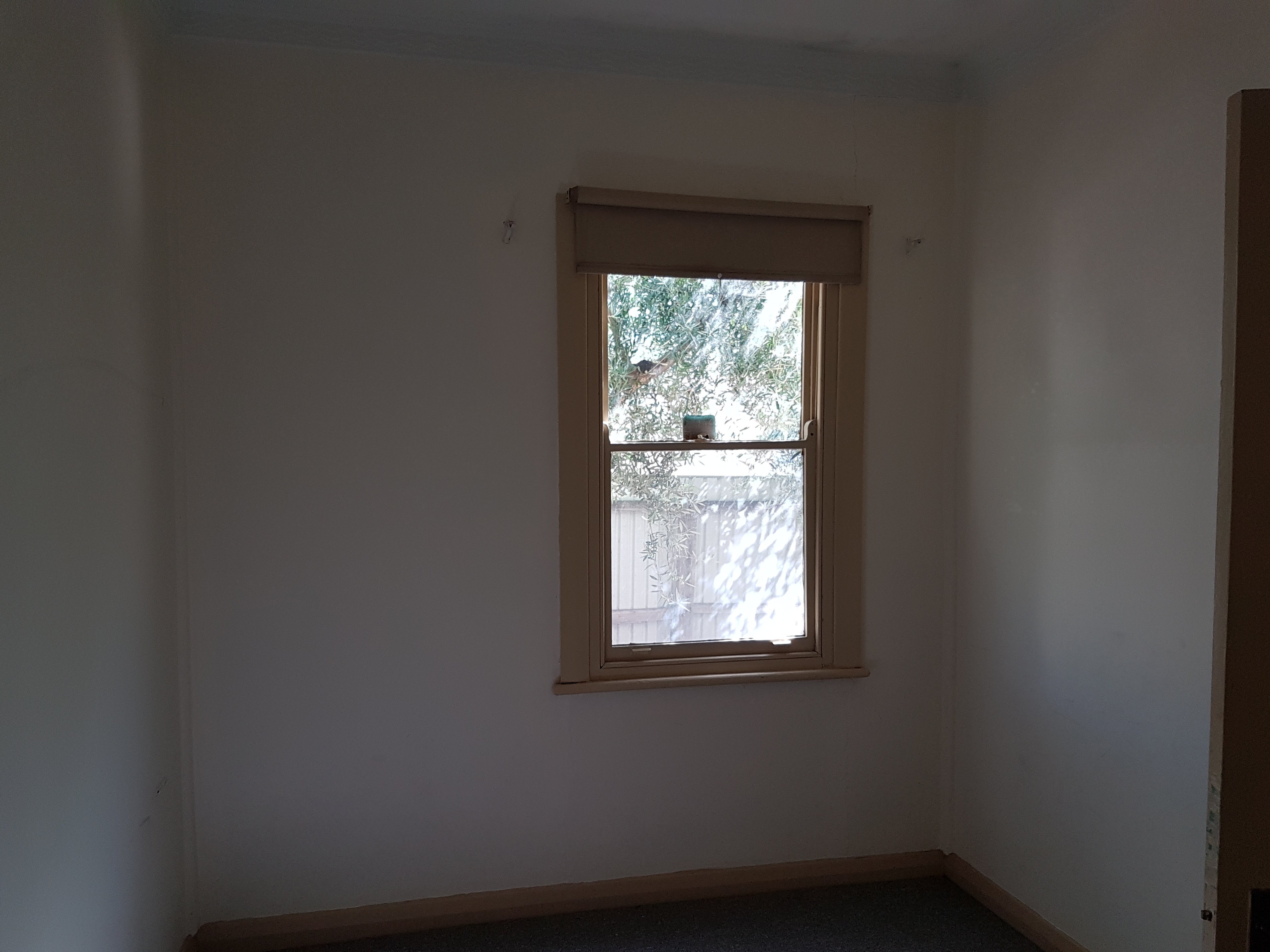 233 Frederick Rd Seaton 5023