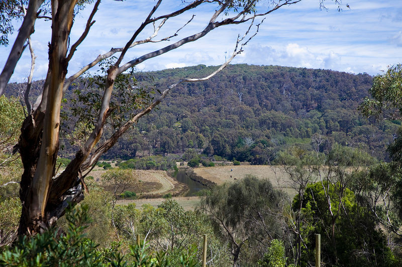 6/31-33 Pearse Road, Aireys Inlet, VIC, Aireys Inlet - Thumbnail 2