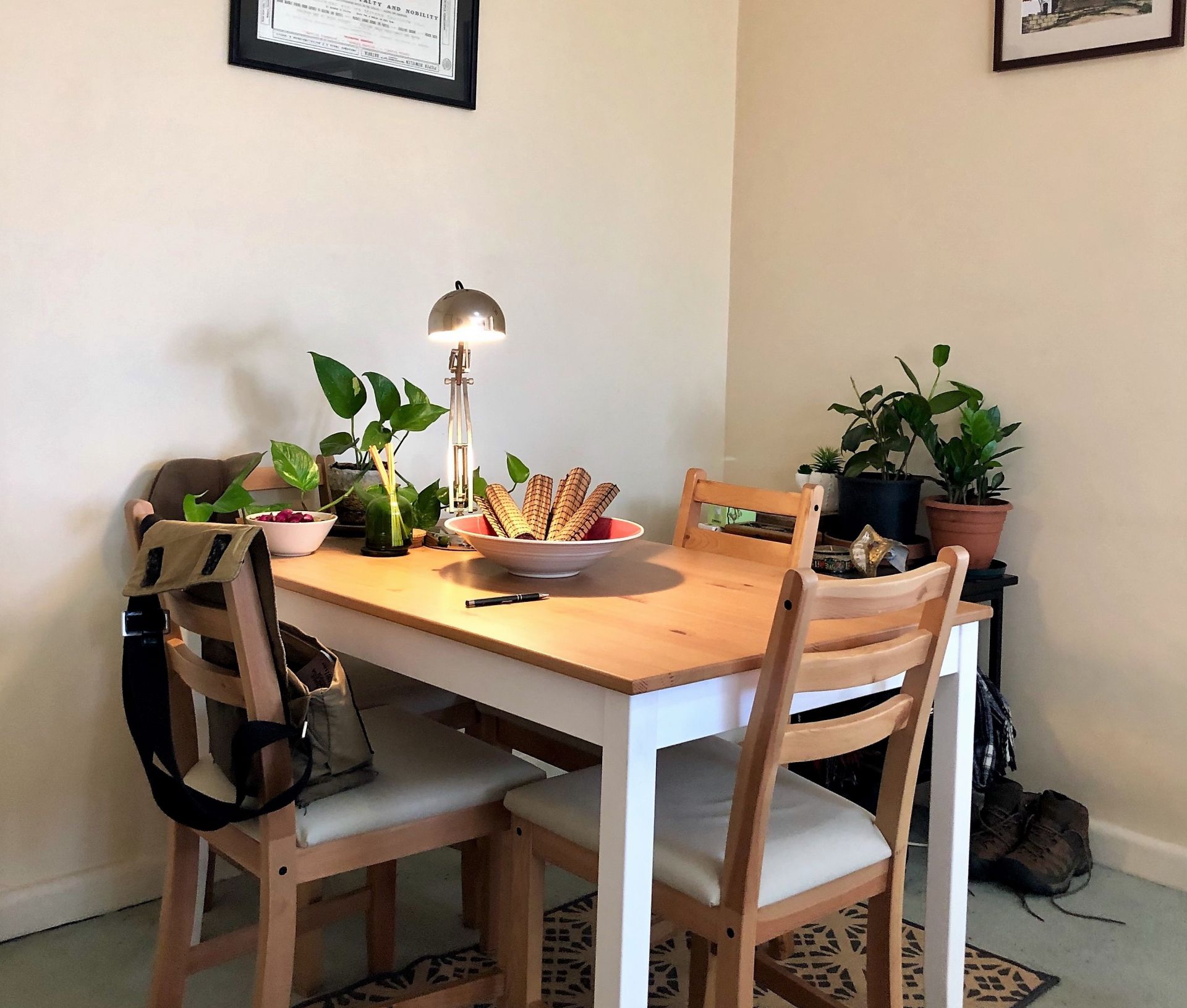 Delightful One Bedroom Apartment!