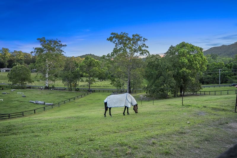 $ 2,310,000, Guanaba - Thumbnail 4