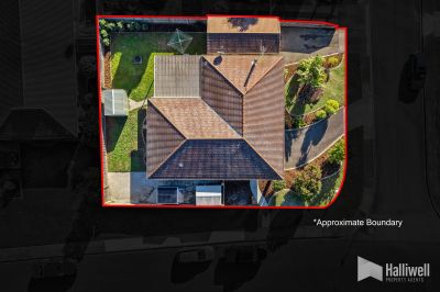 3
 
 
 
  
 
 
 1
 
 
 
  
 
 
 5
 
 
 
 
 
 
 
 162 James Street, Devonport TAS 7310, Devonport - Thumbnail 4