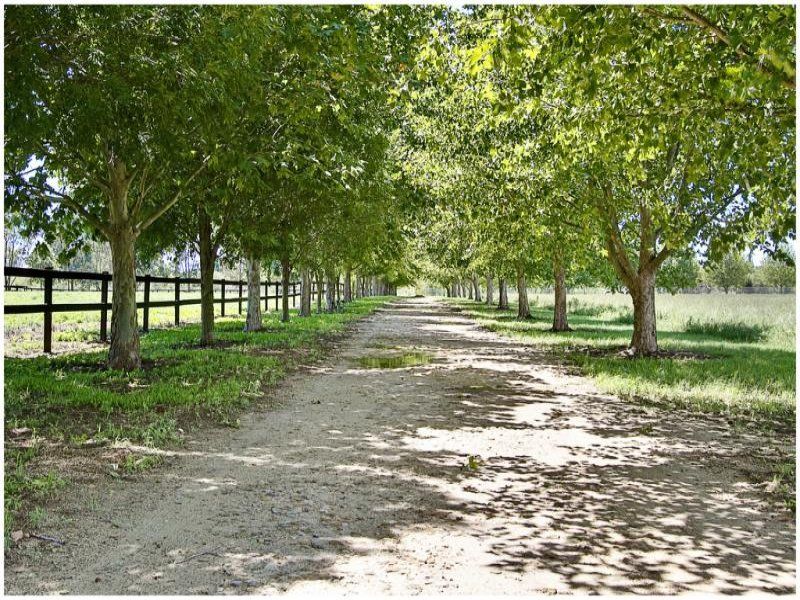 232 Cornwallis Road, Windsor - Thumbnail 7