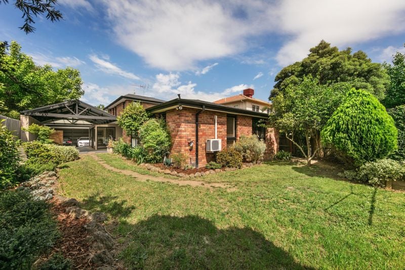 29 Albany Crescent, Surrey Hills - Thumbnail 5
