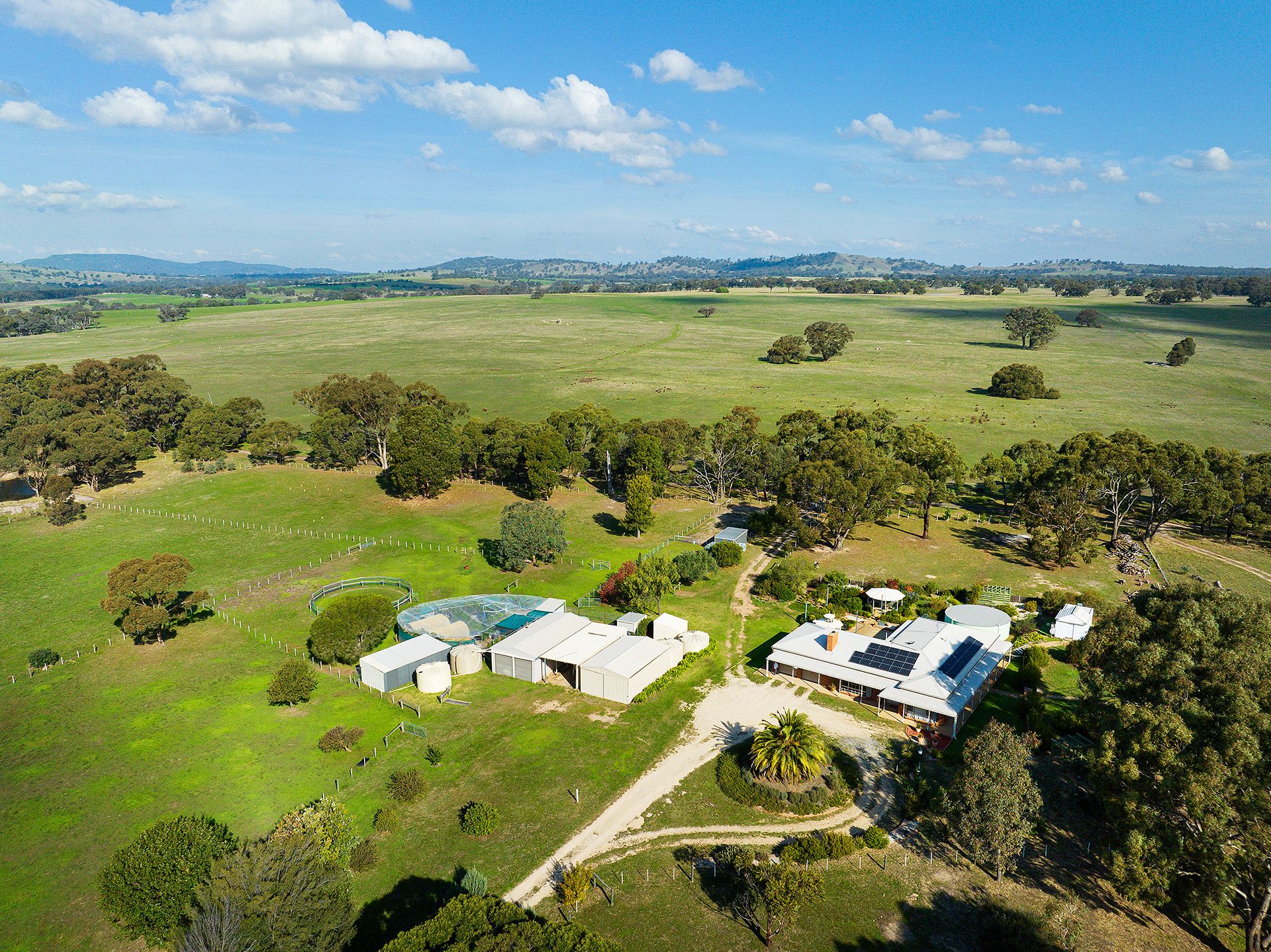 81 Ramon Parade Ravenswood, Ravenswood - Thumbnail 2