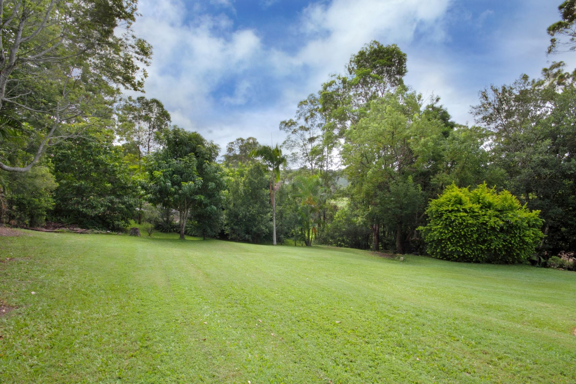 2B Woodchester Close Rosemount QLD, Rosemount - Thumbnail 7