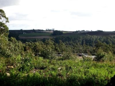 26 Forest Heights Drive, TUGRAH, Tugrah - Thumbnail 5
