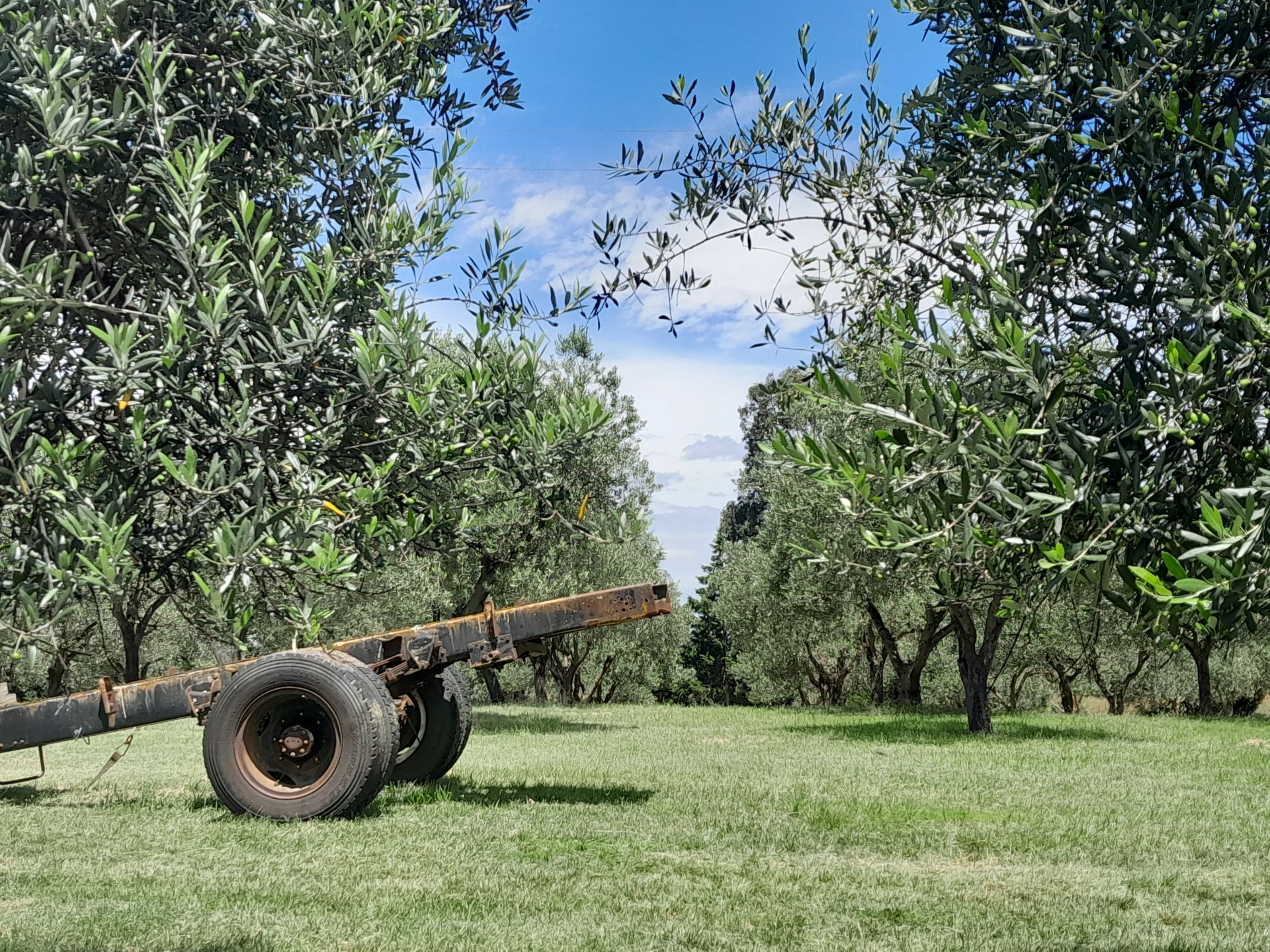 Low Maintenance Farm Living