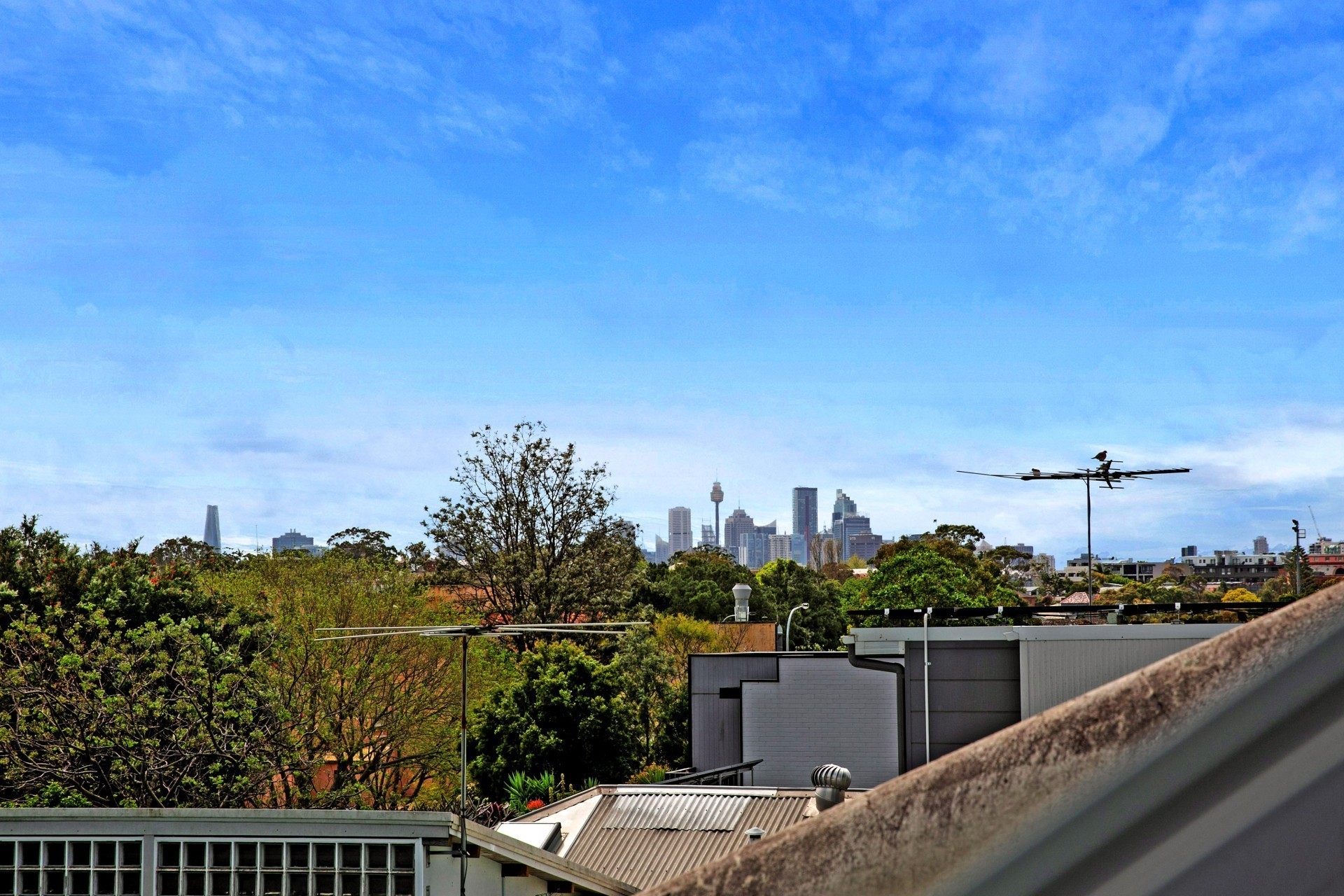 53 Brown Street, ST PETERS, St Peters - Thumbnail 8