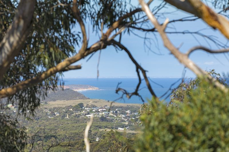 43 Pickworth Drive, Anglesea - Thumbnail 4