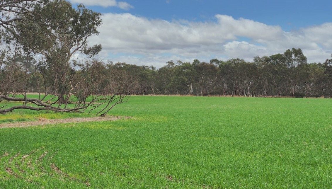 Lot 1 Nth/ Ararat-Halls Gap Road, Moyston VIC 3377