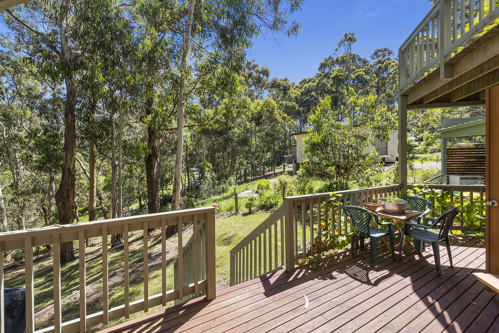 65 Old Coach Road, Skenes Creek, VIC, Skenes Creek - Thumbnail 3