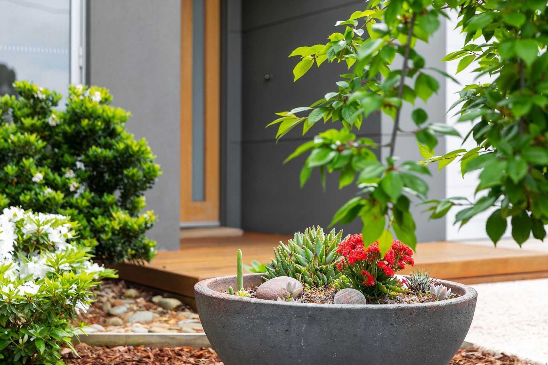 8A Callistemon Court Ocean Grove VIC, Ocean Grove - Thumbnail 4