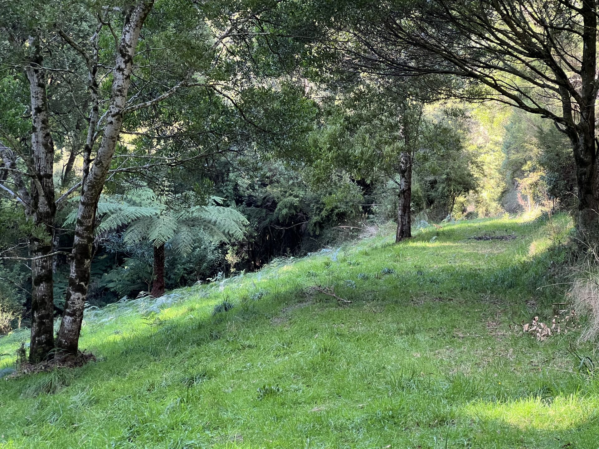 Lot 2/56-58 Broughtons Access, Skenes Creek North - Thumbnail 6