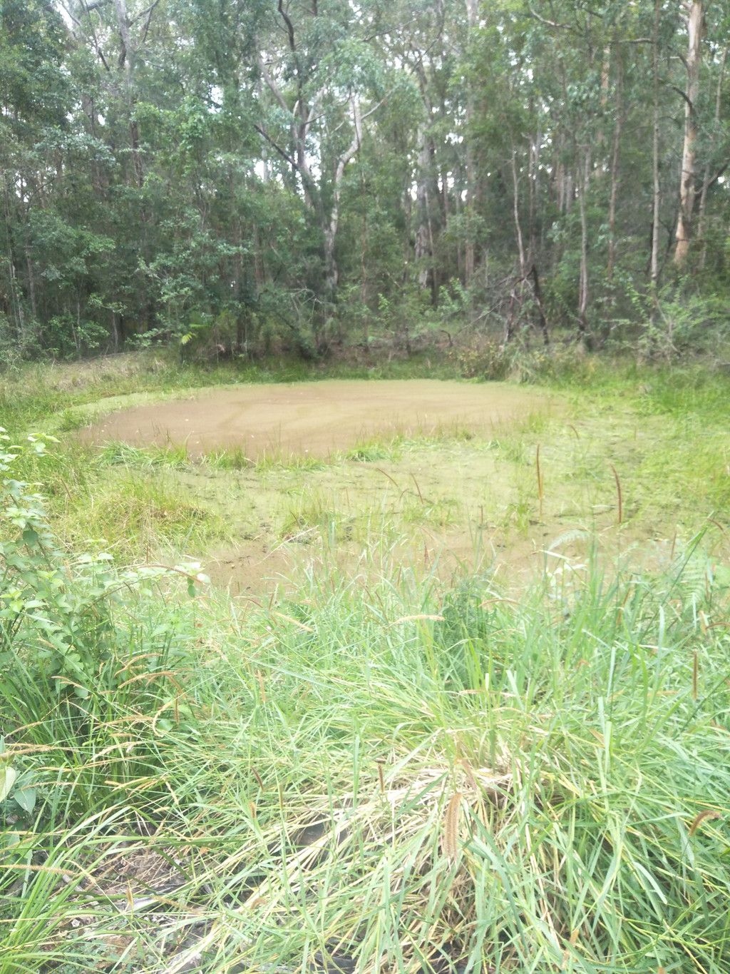 Lot 207 Old Coach Road, KENDALL NSW 2439